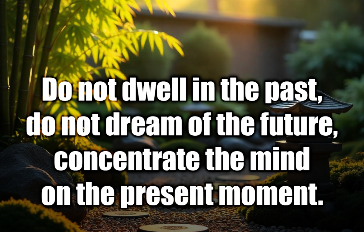 Do not dwell in the past, do not dream of the future, concentrate the mind on the present moment. - Buddha