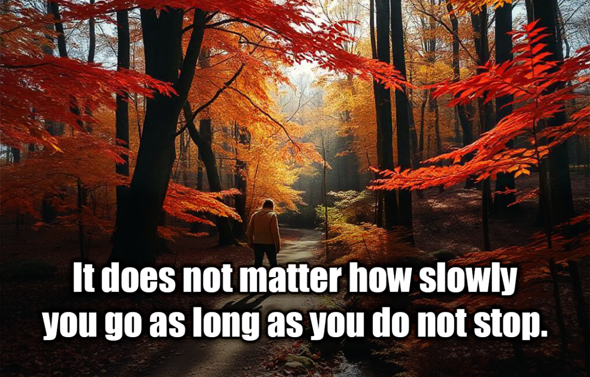 It does not matter how slowly you go as long as you do not stop. - Confucius