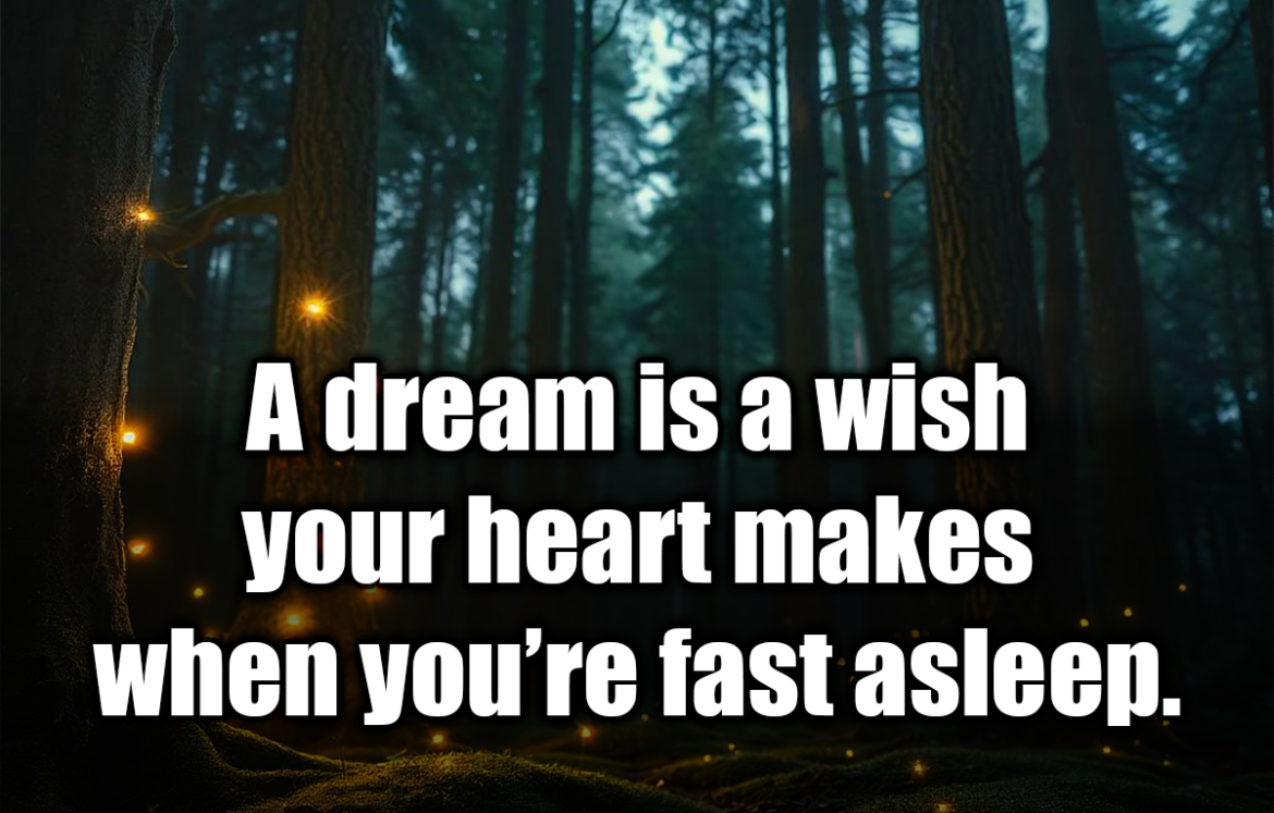 A dream is a wish your heart makes when you’re fast asleep. - Cinderella