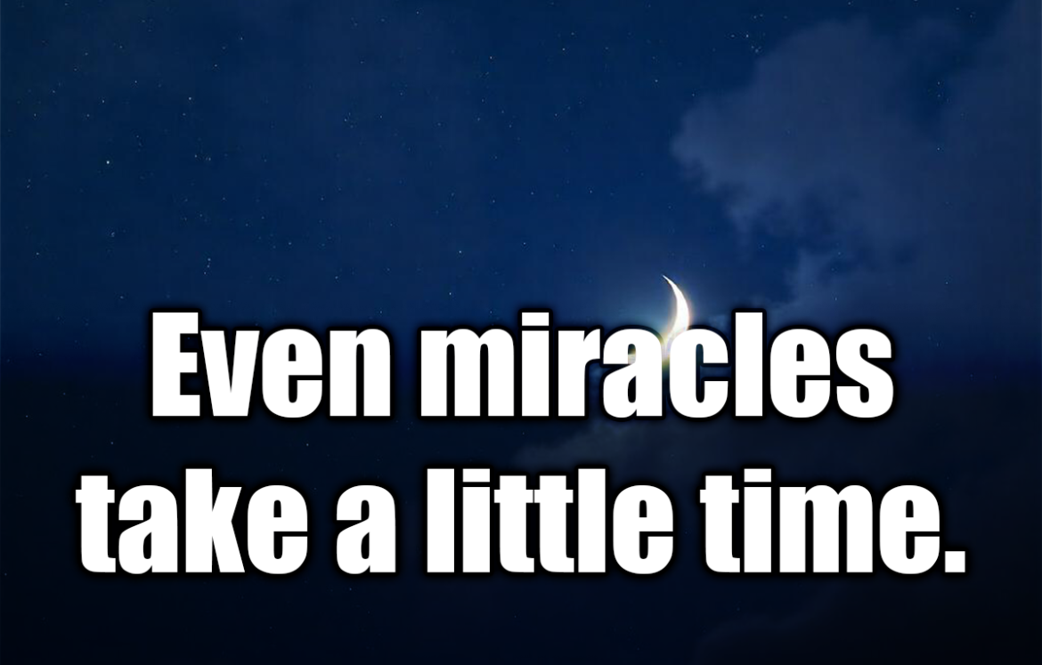 Even miracles take a little time. - Fairy Godmother