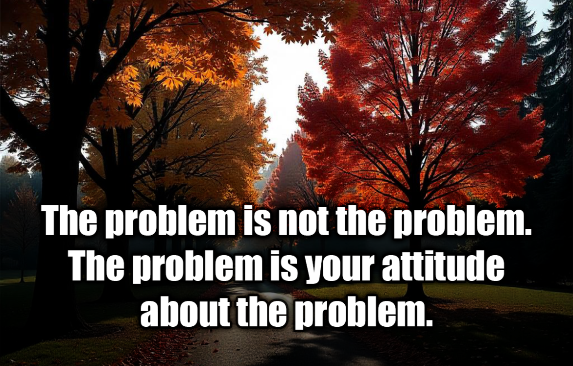 The problem is not the problem. The problem is your attitude about the problem. - Jack Sparrow