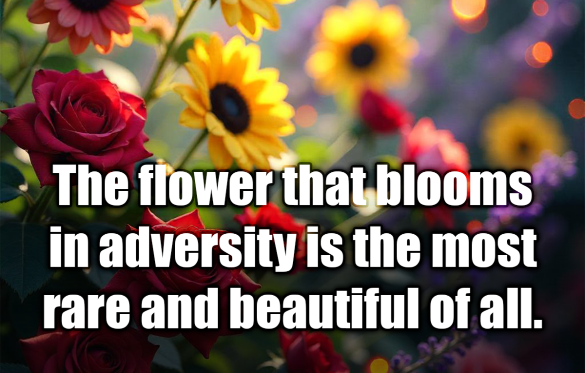 The flower that blooms in adversity is the most rare and beautiful of all. - The Emperor