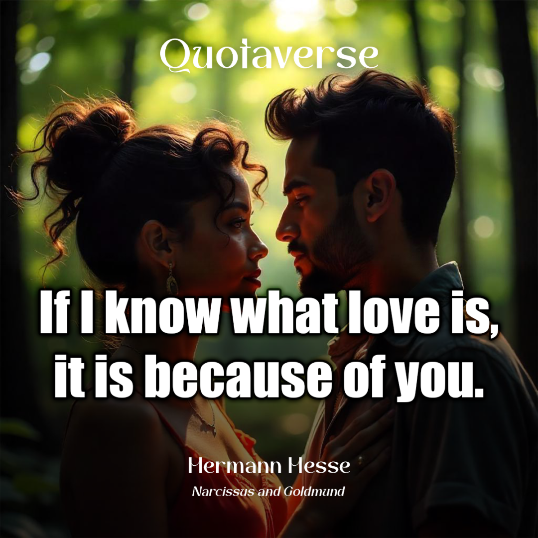 If I know what love is, it is because of you. - Hermann Hesse